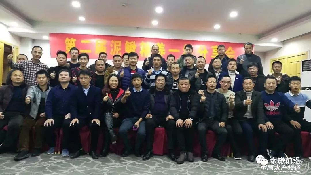 今天塘头50-60条泥鳅价格,泥鳅价格2022年塘头价