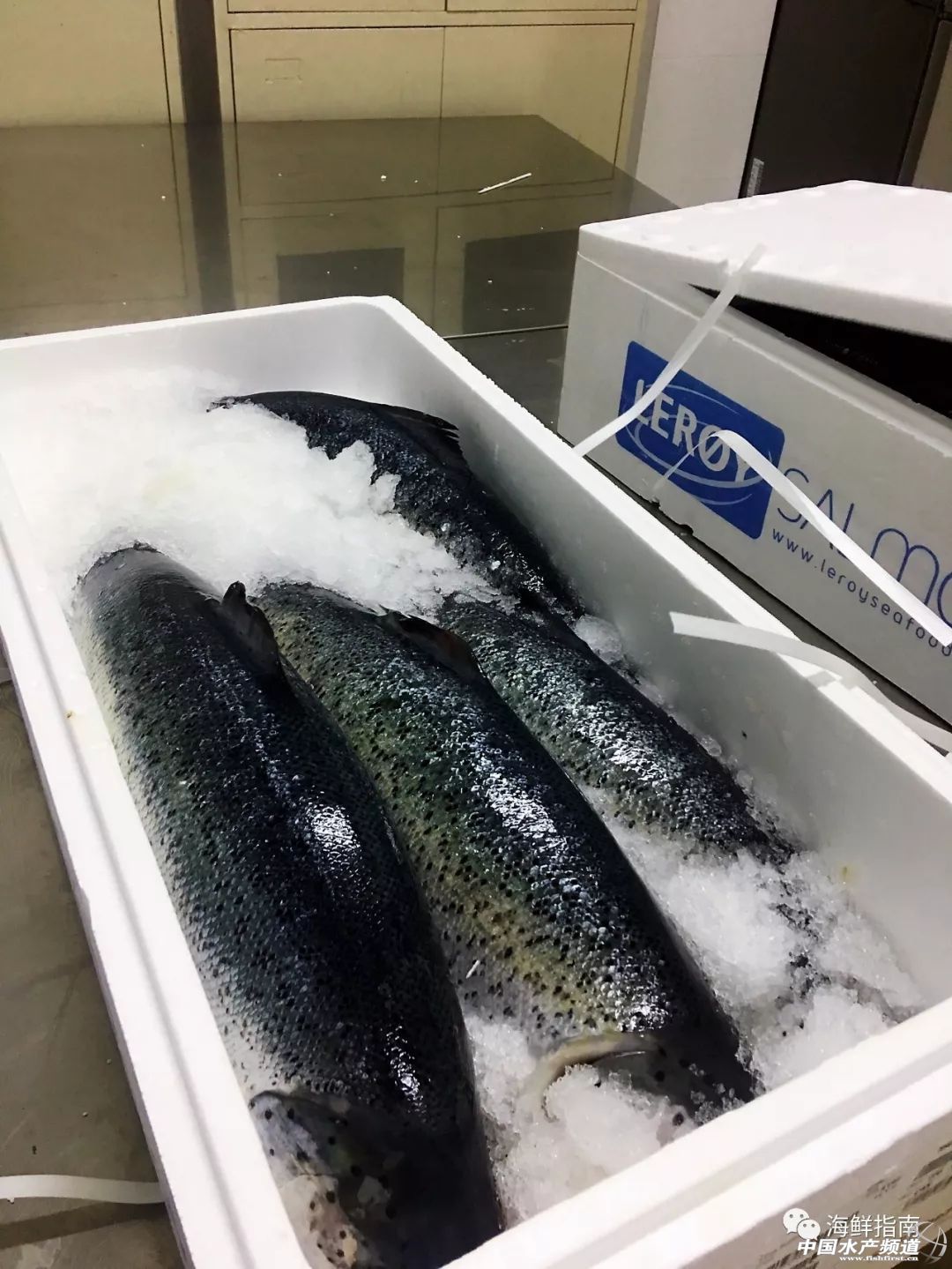 进口的三文鱼是新鲜的还是冷冻的,正宗挪威三文鱼购买渠道