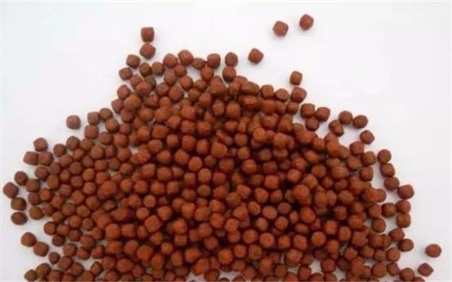 罗汉鱼增红这么简单？进来扫一眼你也可以的