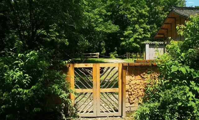 看雪、越野、摘草莓……元旦成都周边打卡指南get√