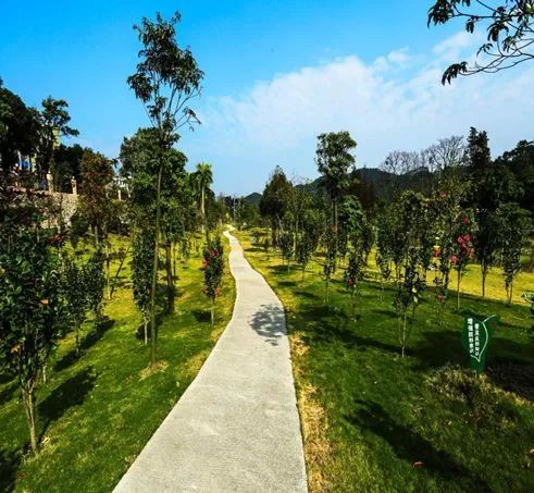 高明网红森林公园,佛山森林公园高明