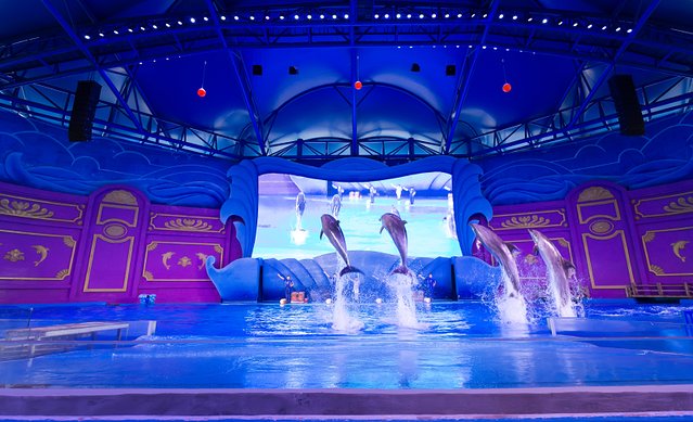 春节横店影视城门票价格表,横店影视城春节免费游玩