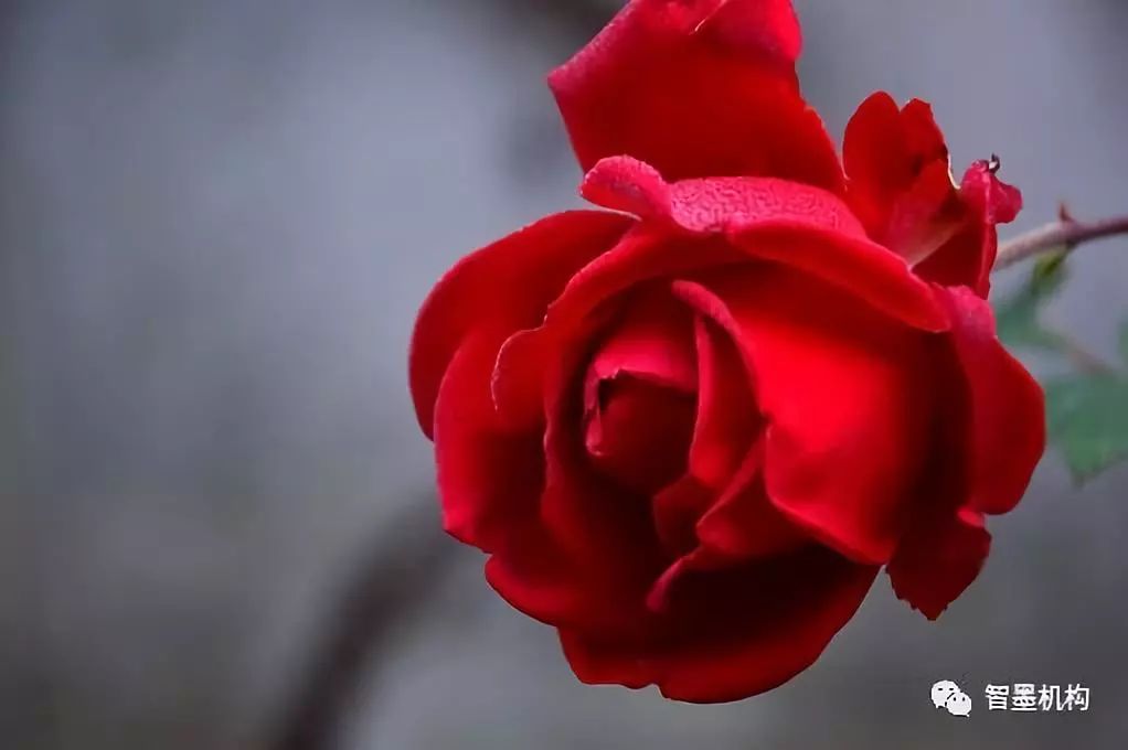 新能源汽车补贴政策退坡时间,2023新能源汽车补贴退坡