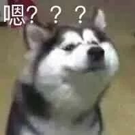 慎买超过15年房龄的房子,房龄15年的房子