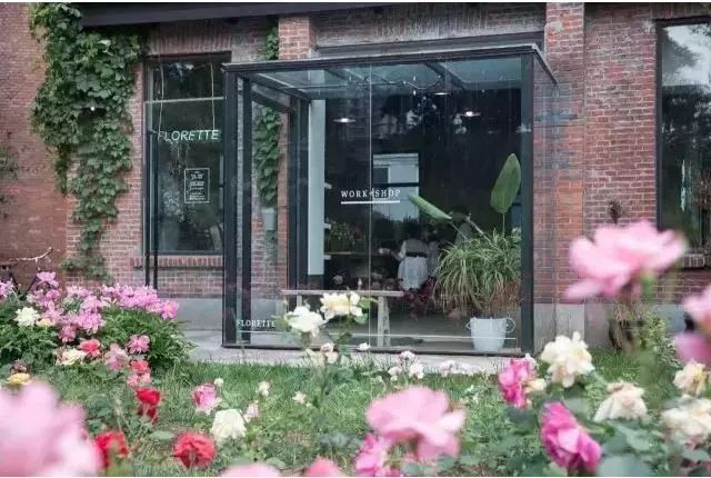 北京才女徐静蕾,徐静蕾李亚鹏北京台