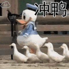 名创优品10元以下好物推荐,名创优品推荐购买好物