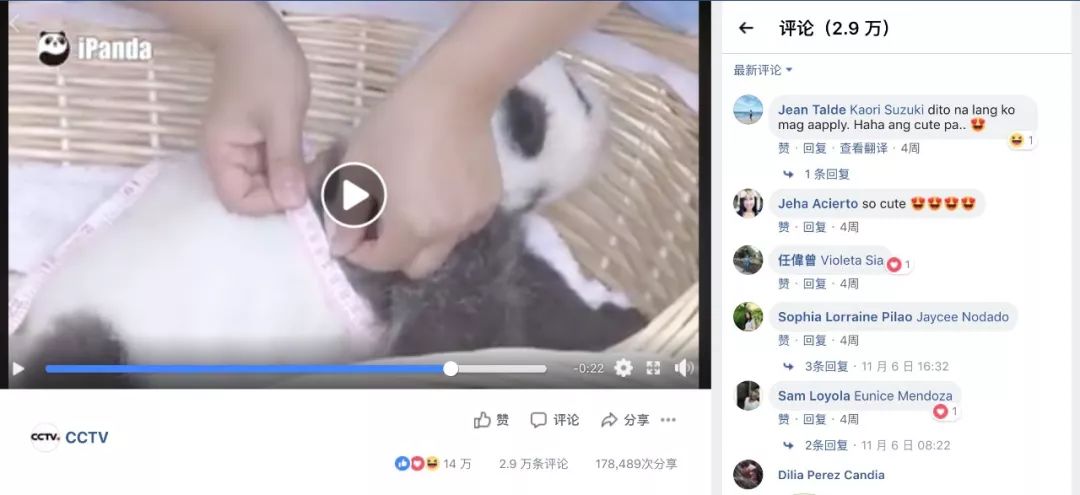 老外多爱猫咪,老外多爱中国