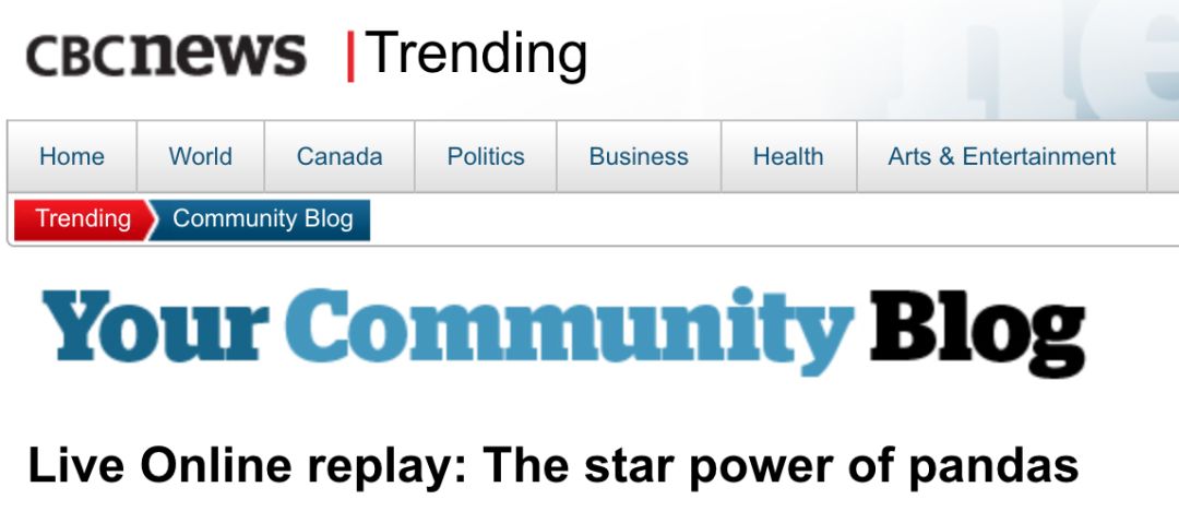 老外多爱猫咪,老外多爱中国