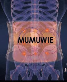 宫寒保暖裤女,女暖宫裤