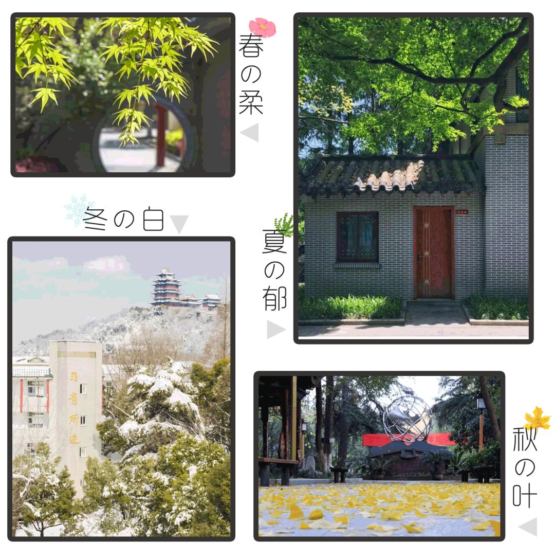 下关十二中怎么样,下关区十二中