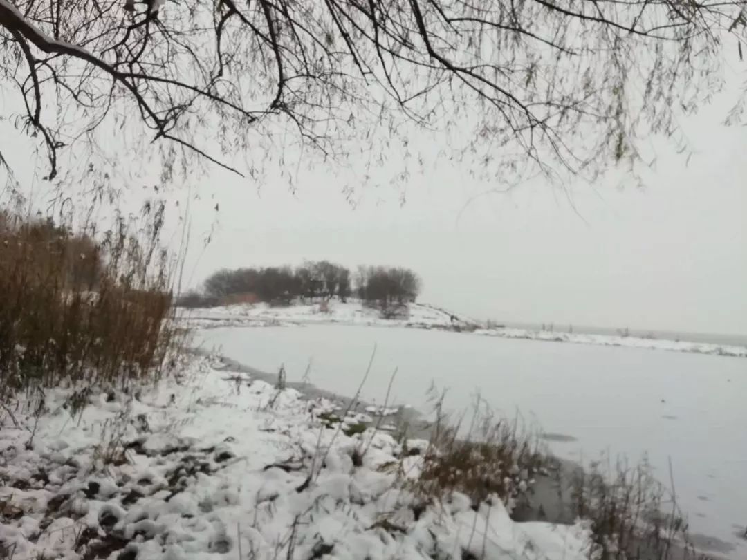 一个石首吧友的新年梦