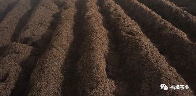 沙龙活动邀约,沙龙邀请嘉宾