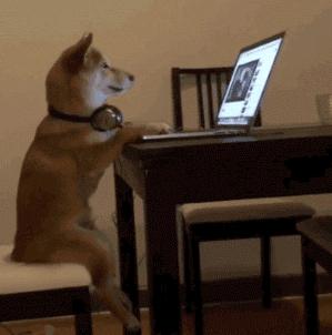 日本票选「最想和他生猴子的男星」,小奶狗和小狼狗谁赢了？