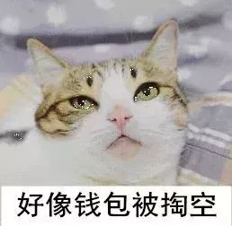 转发文章到其他群能挣钱吗,转发文章给父母