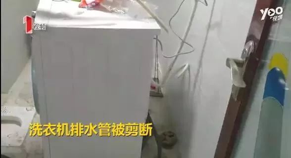 房子租给一对年轻人开门后续,房东将房子租给了一对小夫妻