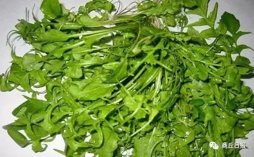 商丘八大农产品,商丘农产品地理标志有几个