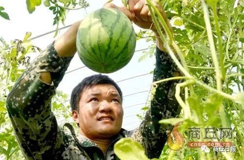 商丘八大农产品,商丘农产品地理标志有几个