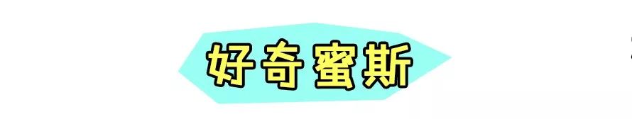 转运去霉运的吉祥物,新年运气爆棚