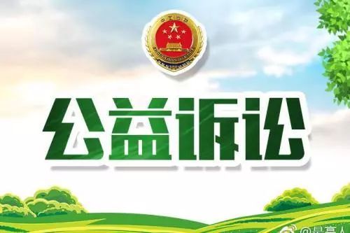 检察院提起的刑事公益诉讼,检察长出庭刑事附带民事公益诉讼