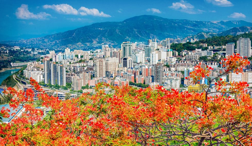 印象｜有了攀枝花，何必去天涯？