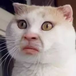 紧急！成本不超1元，生产过程触目惊心！你老婆可能正在用！