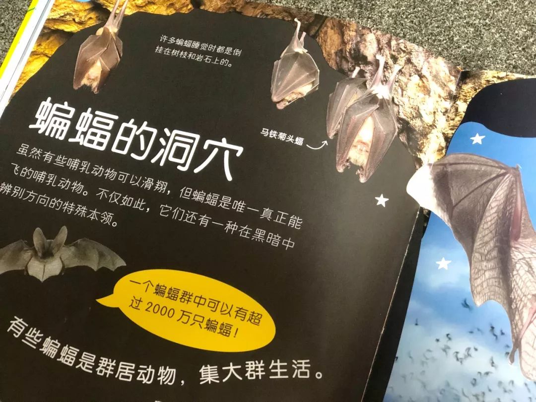 现在的孩子真是不知道怎么想的,现在的孩子真的是脑洞大开