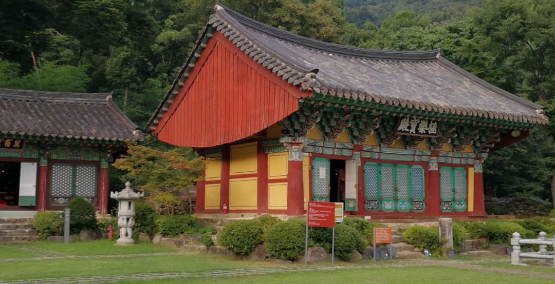 园林大讲堂｜清溪川：韩国人最引以为傲的生态改造项目