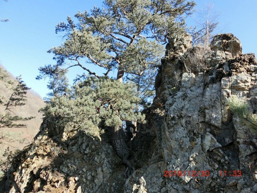 汪清天一户外12月30日登鹰嘴砬子精彩回放