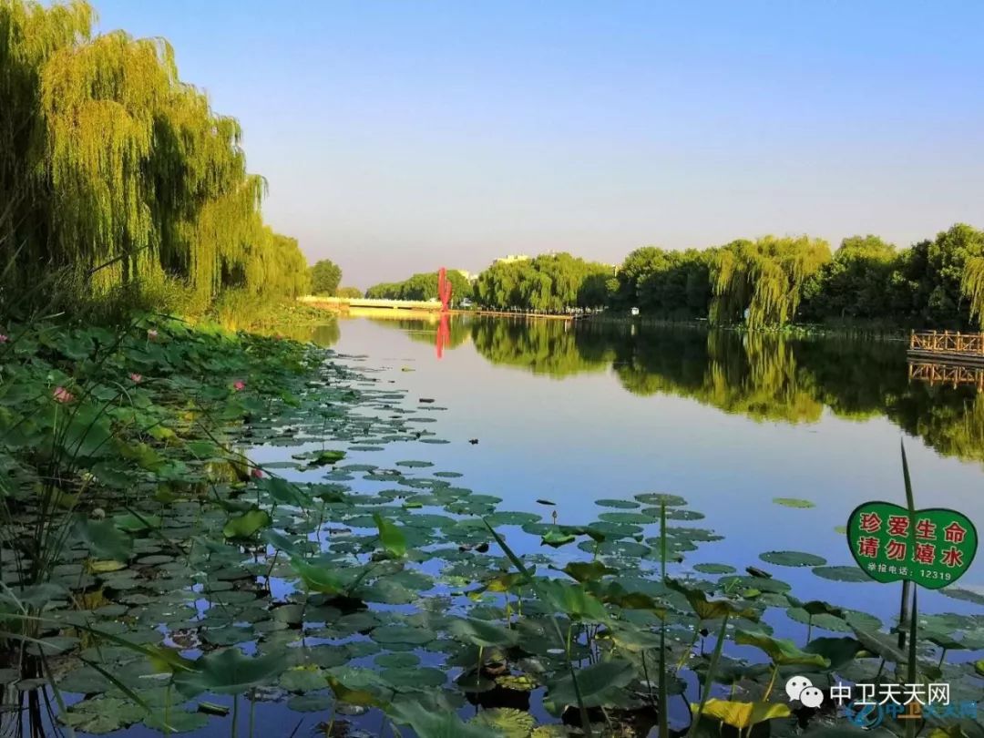 中卫其实也就是这样，但我们就是心心念念，忘不了······