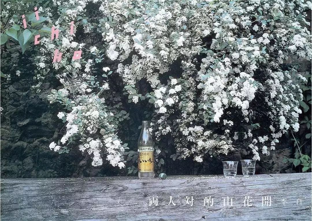 山崎威士忌的五十个秘密,山崎为什么是小众威士忌