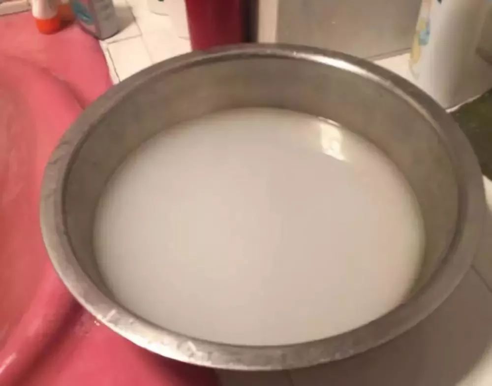 家里盆栽洋葱开花,洋葱盆栽开花