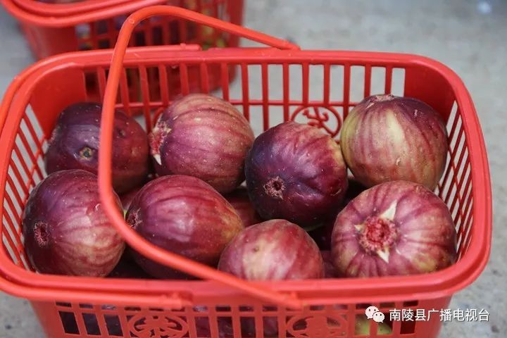 南陵民间故事,南陵历史故事