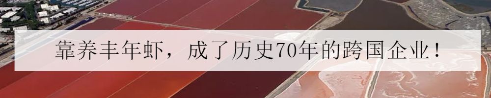 海缸如何养好水质,原生海缸家庭饲养