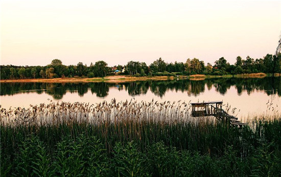 阴虚火旺不盗汗是什么原因,阴虚盗汗是什么原因