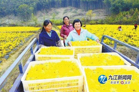 聚力打造高质量发展新动能,聚力新发展建功新征程