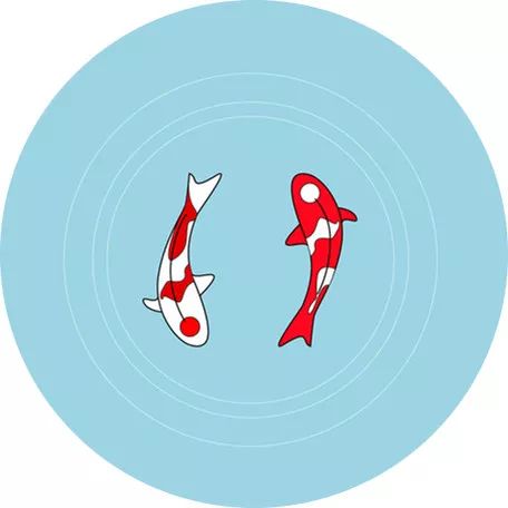 她暗示让我跟她表白,她很主动的跟我表白