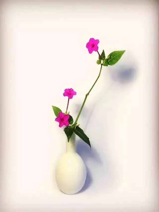 纳兰性德十首深情诗词,纳兰诗词60句深情而绝美短句