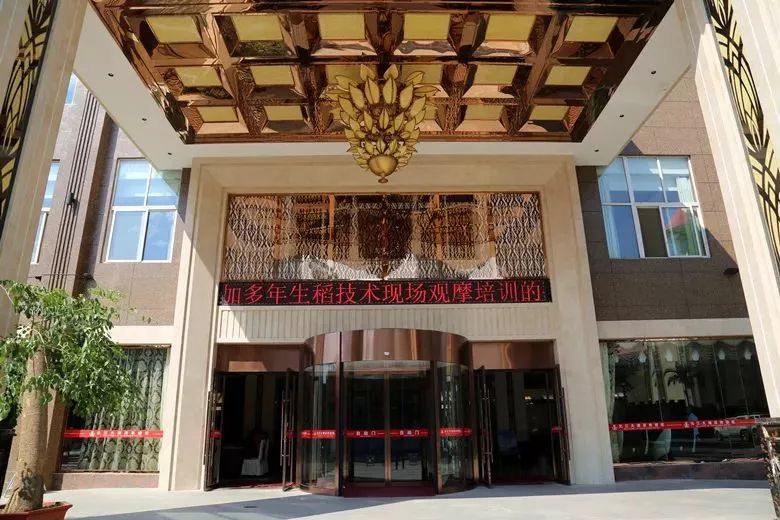 元江高端酒店有哪些,元江经济型酒店推荐