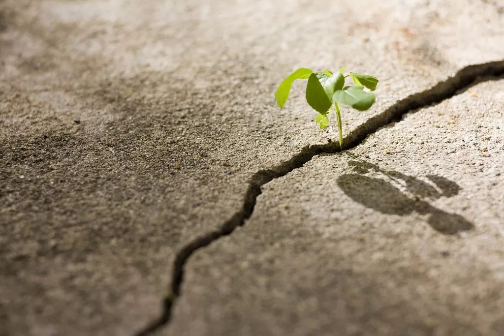 趁年轻多努力读书笔记,趁着年轻多读点书