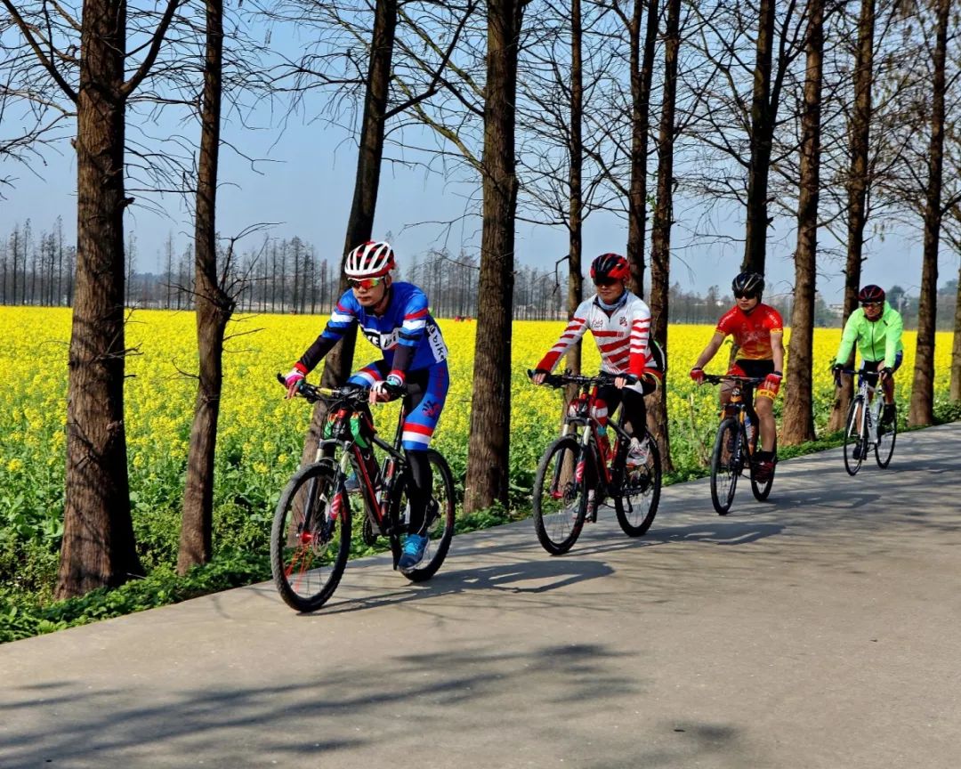 99%的斗门人都没看过的斗门，赶紧看！