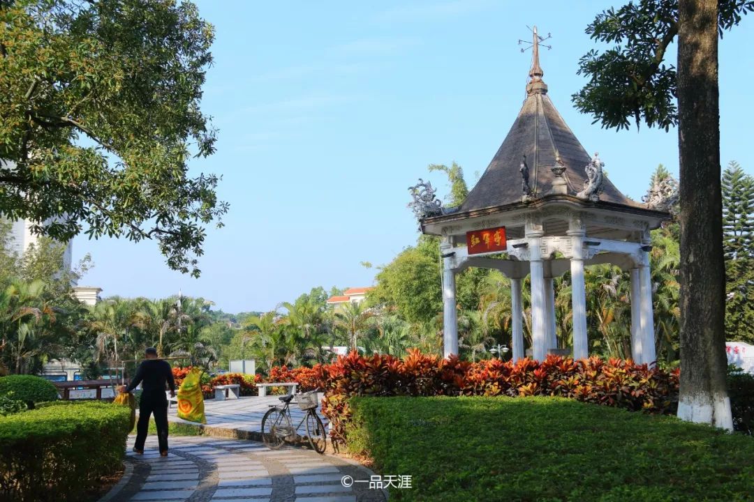 漳州大v排行,大v推荐传奇