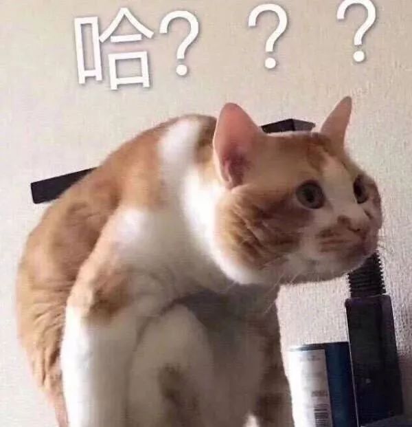 大妈顶门唱“喜歌”，天津网友觉得瘆的慌，还有人差点没打起来