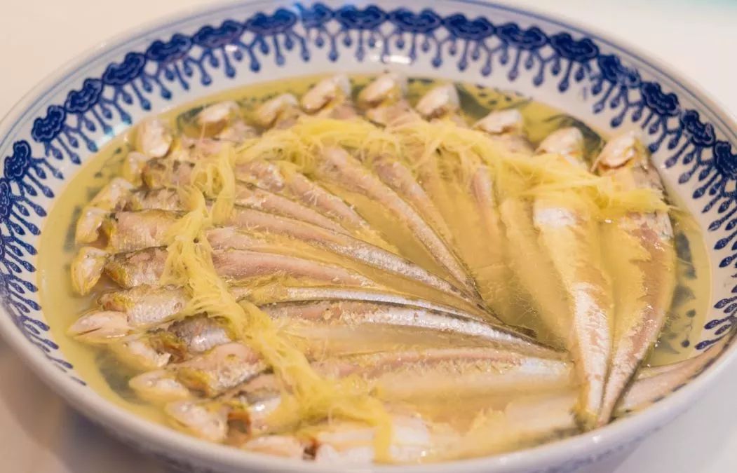 长江刀鱼最新政策,长江刀鱼从什么时候开始禁捕的