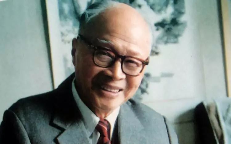 百年科学往事杨振宁访谈录,杨振宁访谈中国历史真实性