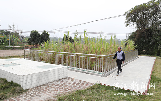 十大民生实事工作落实情况汇报,2019年全省30件民生实事完成情况