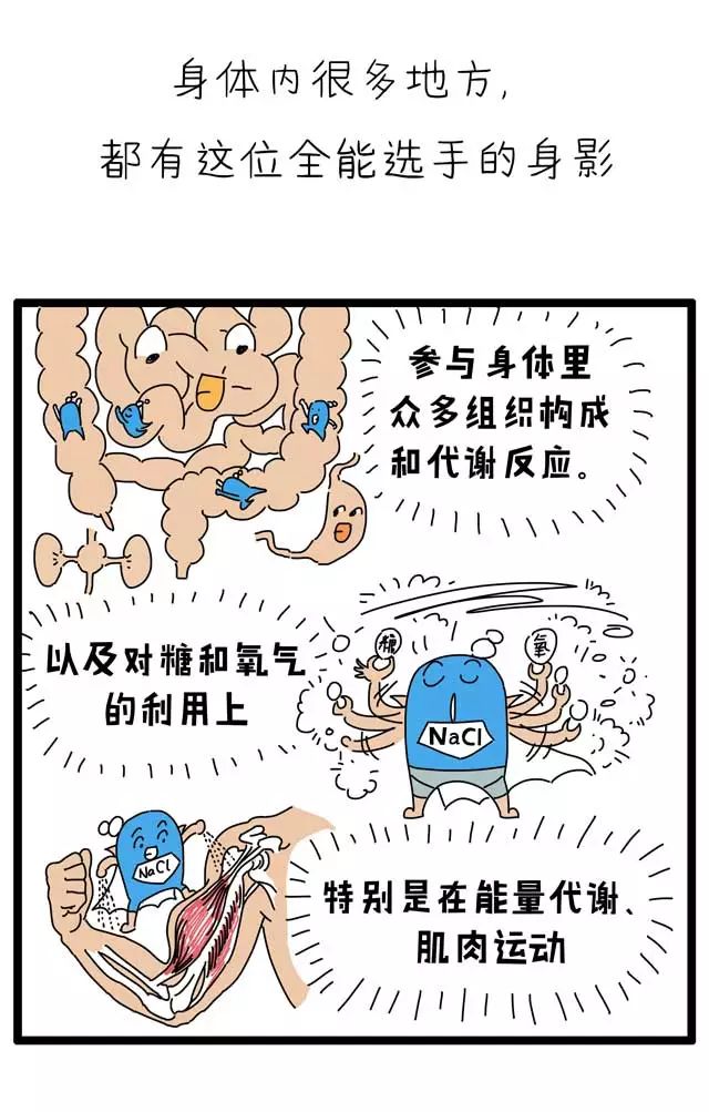 不吃盐是否会没劲,不吃盐的科学依据
