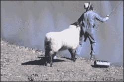 笑一笑，心情好；笑一笑，烦恼消；看完后朋友们开口大笑吧