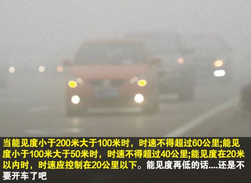 「提醒」预警!气温将低至-8℃!菏泽上空是雾还是霾?什么时候好转?市气象台回应