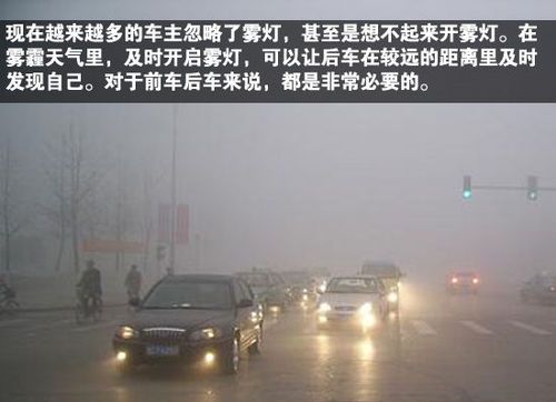 「提醒」预警!气温将低至-8℃!菏泽上空是雾还是霾?什么时候好转?市气象台回应
