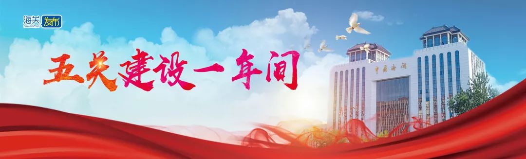 五关建设一年间|有份成绩单请查收!(一)